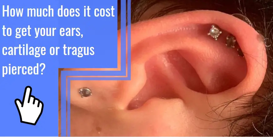 How much does it cost to get your ears, cartilage or tragus pierced?
