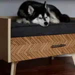 Fun DIY dog beds to match your home decor