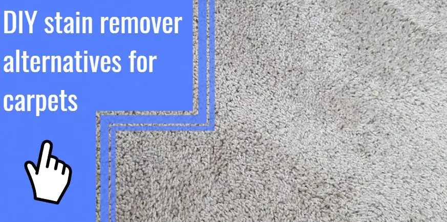 diy stain remover alternatives for carpets