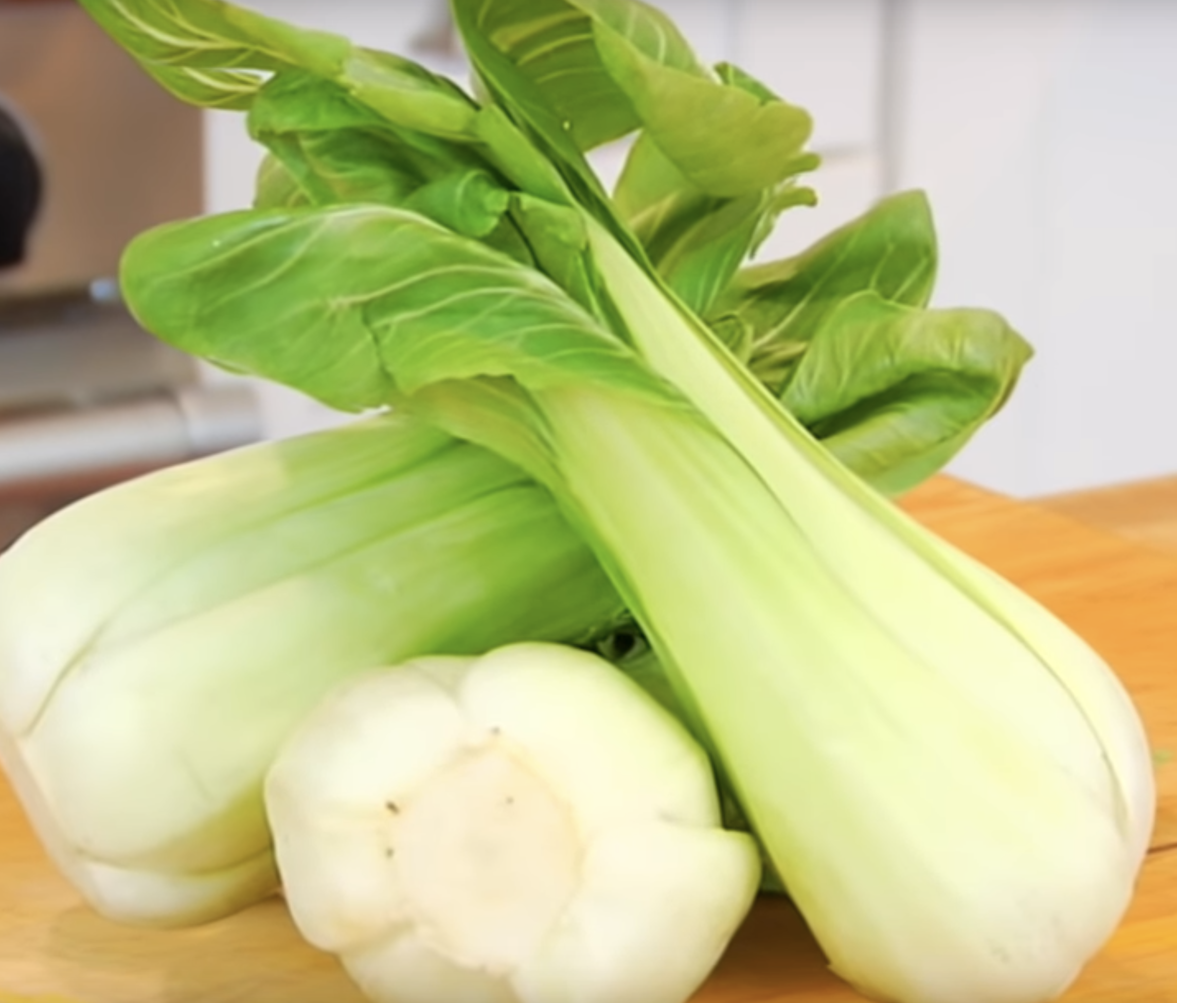 Can a rabbit eat Bok choy?