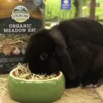 Can a rabbit eat Meadow hay?