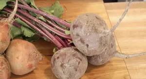 Can a rabbit eat beetroot?