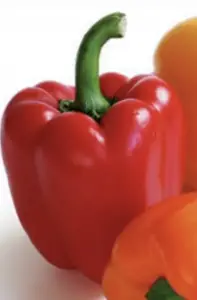 Can a rabbit eat bell peppers?