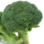 Can a rabbit eat broccoli