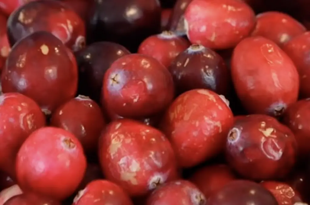 Can a rabbit eat cranberries?