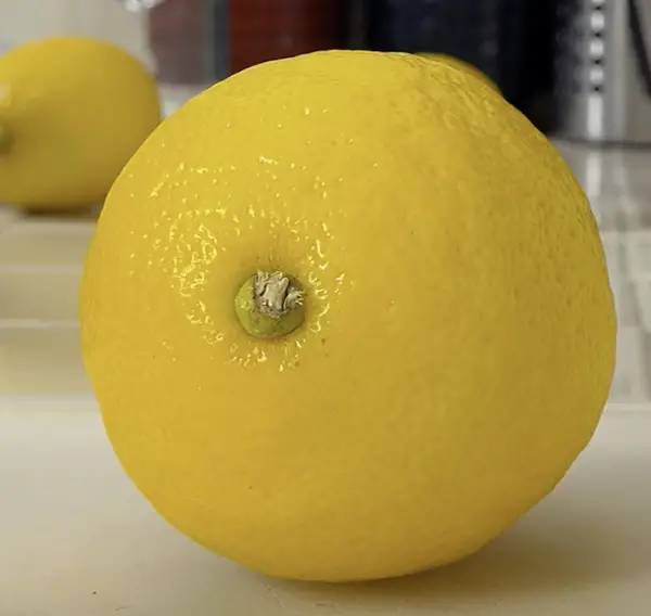 Can a rabbit eat lemons?