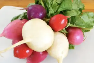 Can a rabbit eat radish?