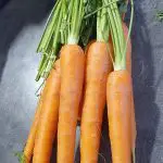 Can rabbits eat carrots?