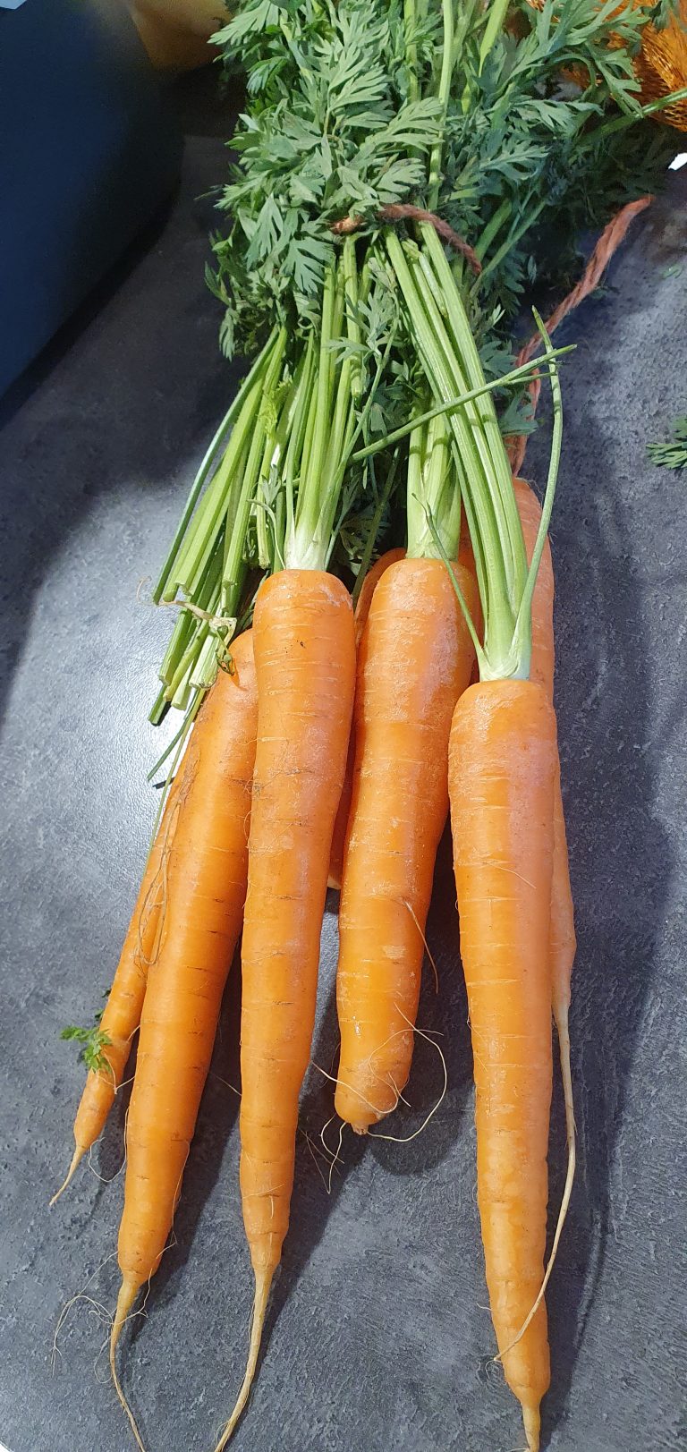 Can a rabbit eat carrots?