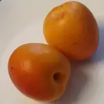 Can a rabbit eat apricots?