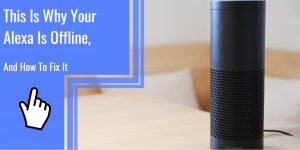 This Is Why Your Alexa Is Offline and How to Fix It