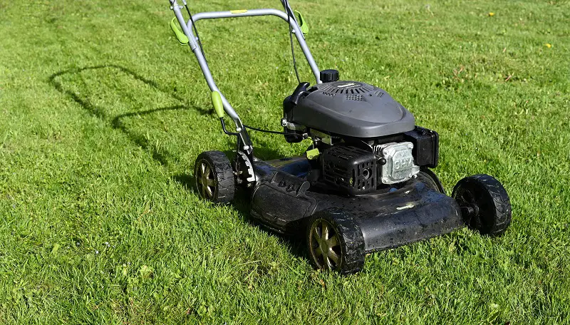 lawn mower starts then dies