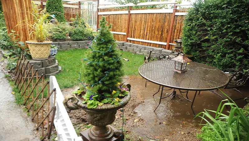 Need to fix your muddy yard? This is How You Do It