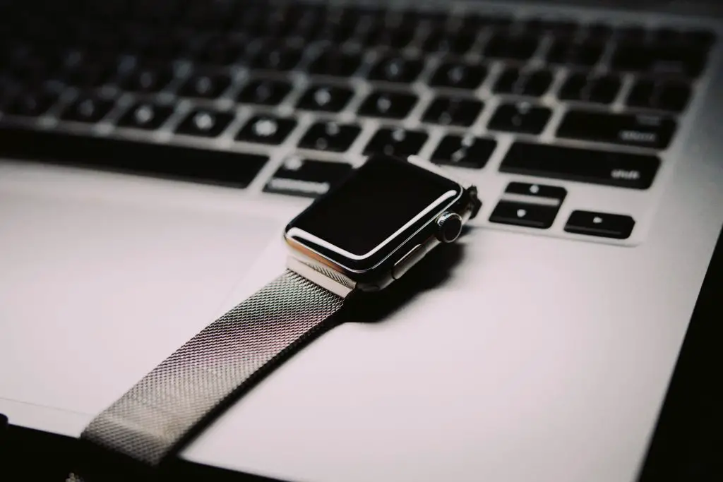Lost Apple Watch offline